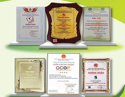 Chứng nhận Md Queens